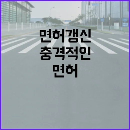 치매 소견 면허 갱신의 충격적인 진실 공개!