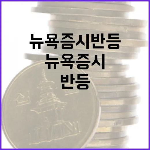 뉴욕증시 반등 하락세 종식 여부는?