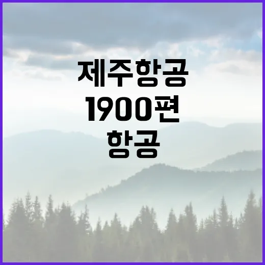 제주항공 1900편 감축 무안발 국제선 278편 포함!