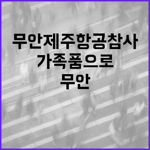 무안 제주항공 참사 희생자 가족 품으로 돌아가다