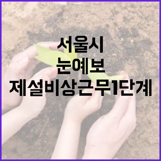 눈 예보 서울시 제설 비상근무 1단계 발령!