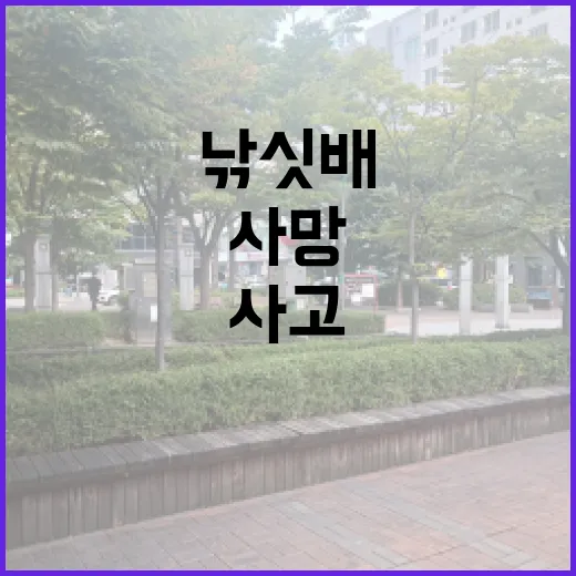 사망 사고 허위 명부 기재한 낚싯배 선장!