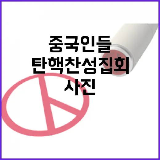 탄핵 찬성 집회 중국인들 사진 충격 공개!