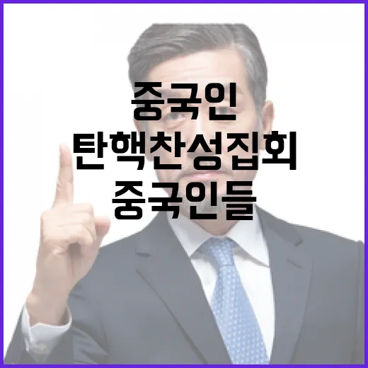 탄핵 찬성 집회 중국인들의 놀라운 참여!