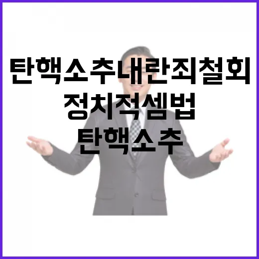 탄핵소추 내란죄 철회 정치적 셈법의 진실?