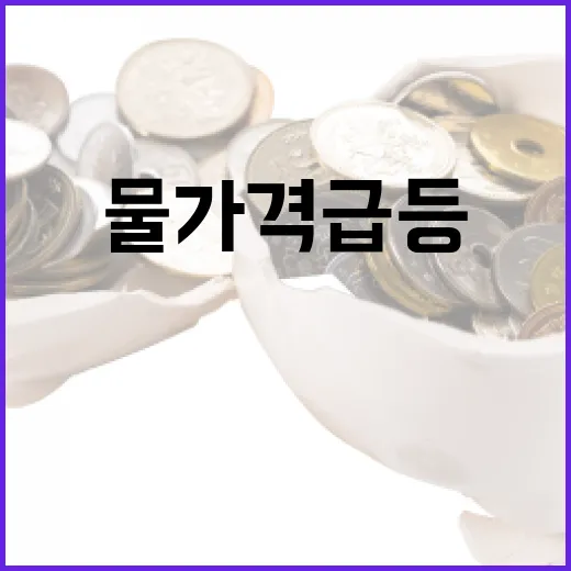 배추·무 가격 급등 소비자 장바구니 위기!