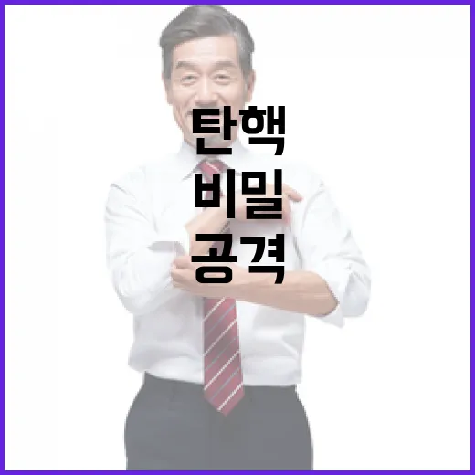 내란범 공격 탄핵 소송 비밀은 무엇일까?