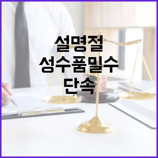 ‘설 명절’ 성수품 밀수 단속의 충격적 진실!