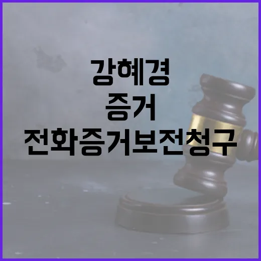 전화 증거보전 청구 기각 강혜경의 반응은?