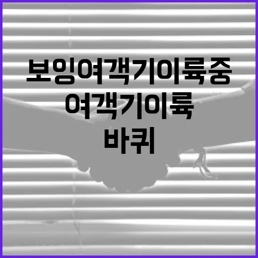 보잉 여객기 이륙 중 바퀴 펑사고 발생!