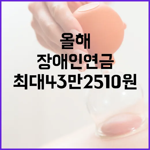 장애인연금 인상 올해 최대 43만 2510원!