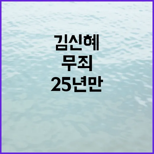 무죄 김신혜 25년 만의 진실 밝혀졌다!