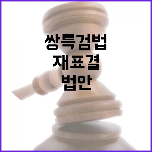 쌍특검법 여야 재표결로 법안 운명 가른다!