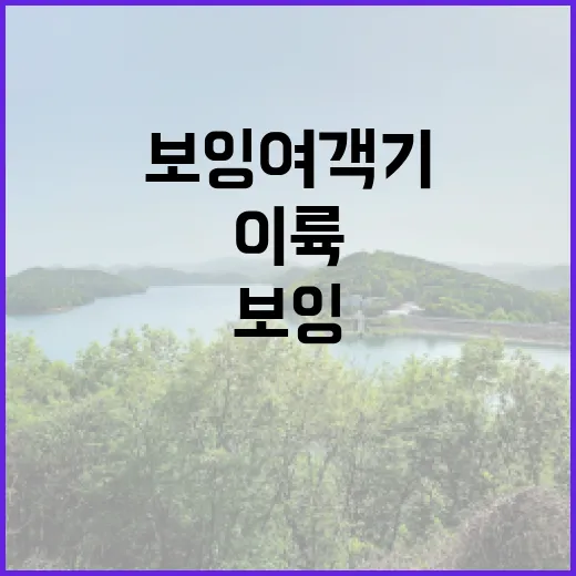 보잉 여객기 호주에서 이륙 중 사고 발생!