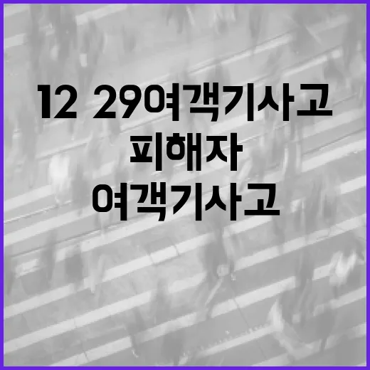 ‘12·29 여객기 사고’ 피해자 지원단 신설 소식!