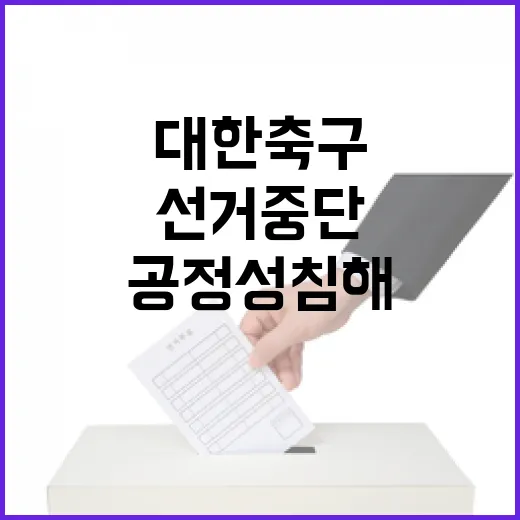 대한축구협회장 선거 중단 공정성 침해 이유는?