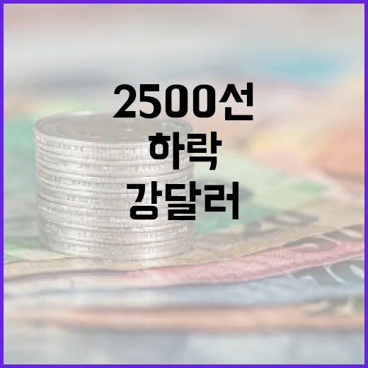 반도체 주춤 강달러 2500선 아래로 하락!