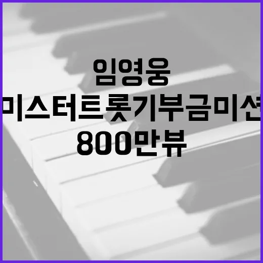 미스터트롯 기부금미션 임영웅 무대영상 800만뷰 달성!