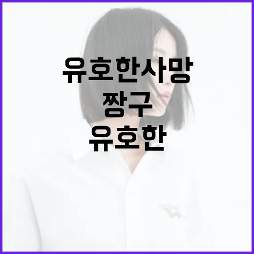 유호한 사망 짱구와 어벤져스 애도 불가피