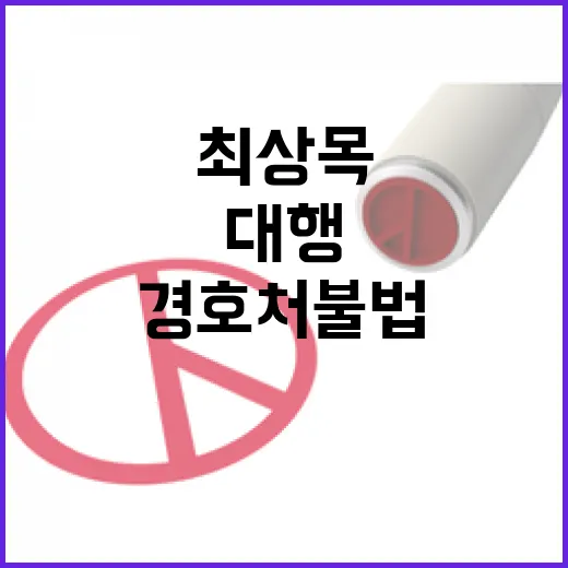 최상목 대행 시민단체의 경호처 불법행위 주장!