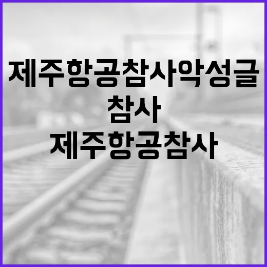 제주항공 참사 악성글 피의자 추적 소식!