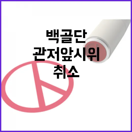 백골단 관저 앞 시위 돌연 취소 이유 공개!