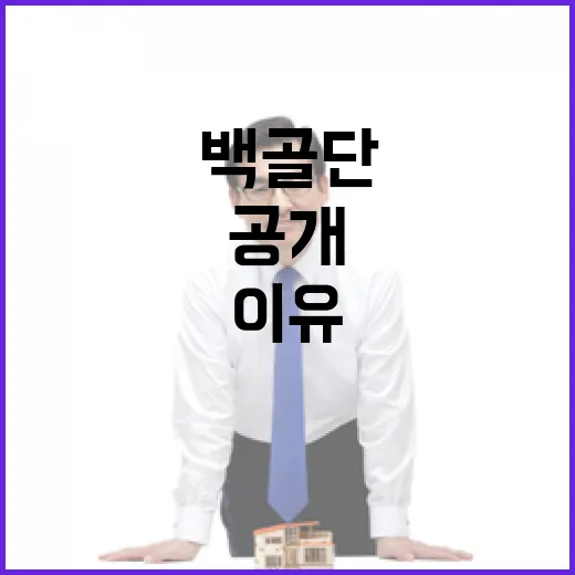 백골단 역풍 김민전 기자회견 철회 이유 공개!