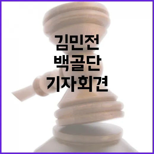 백골단 김민전 기자회견 배경 공개 필요성 논란!