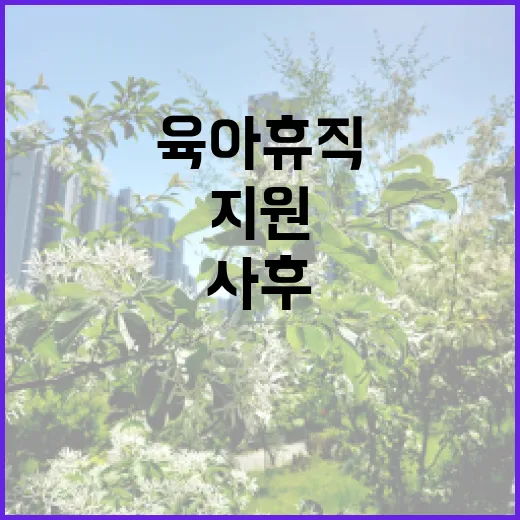 육아휴직 고용부의 사후지원 폐지 미결정!