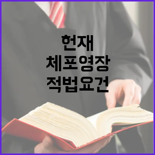 헌재 체포영장 적법 요건 계속 검토 중