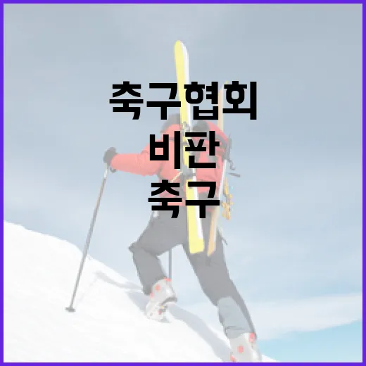 축구협회 갑갑한 동네 계모임과 과한 비판!