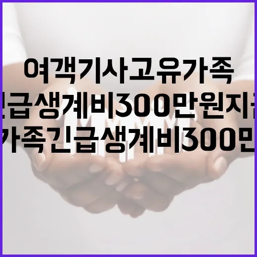 여객기 사고 유가족 긴급생계비 300만원 지급!