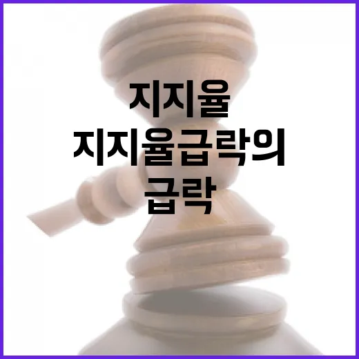 민주당 지지율 급락의 원인과 대책은 무엇?