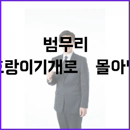 범무리 호랑이 기개…