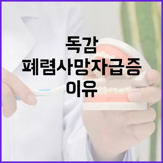 독감 유행 폐렴 사망자 급증 이유와 예방법!