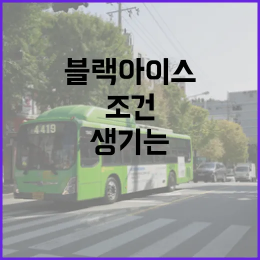 블랙아이스 추울수록…