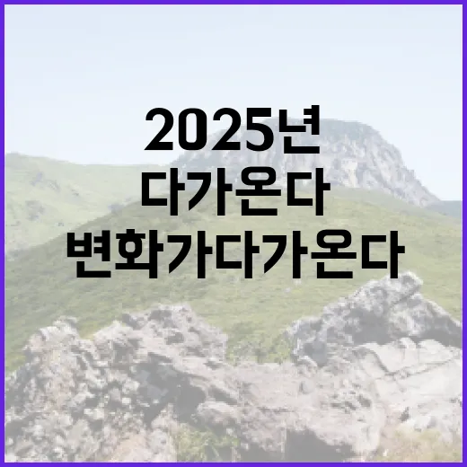 안전성 2025년 그 변화가 다가온다!