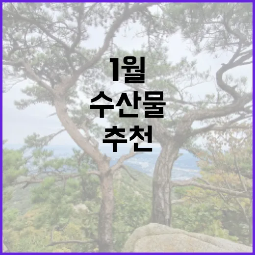 수산물 1월 추천 영양가 있는 두 가지 비밀!