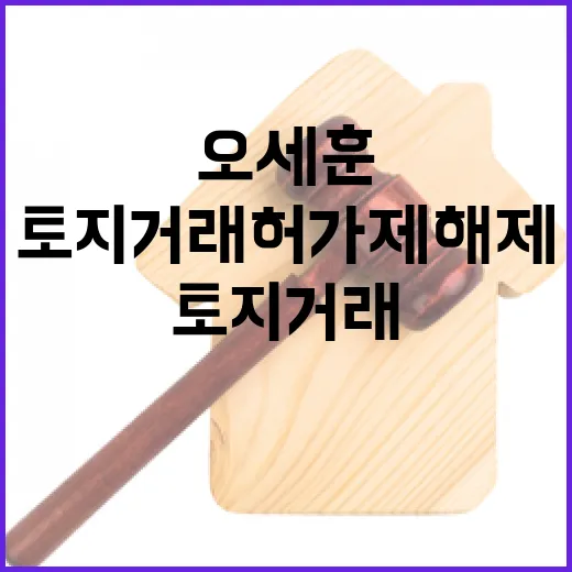 토지거래허가제 해제 오세훈 결정적 발언!