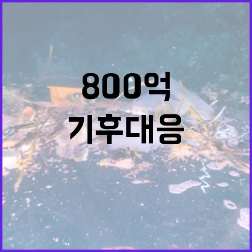 기후대응댐 지원금 600억에서 800억으로 증가!