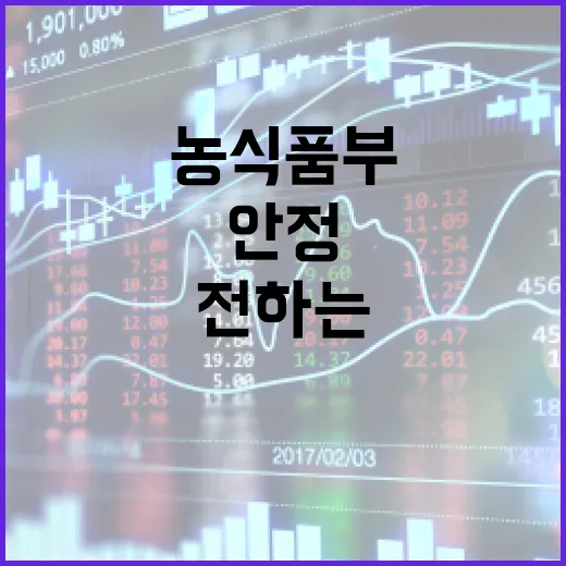 꽃 가격 안정 농식품부가 전하는 올해의 진실!