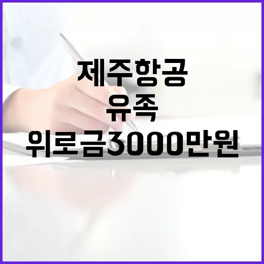 위로금 3000만 원 제주항공 유족 지원 발표!