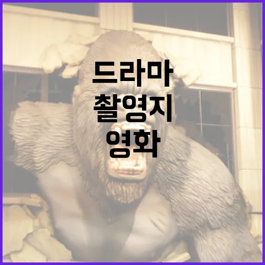 거제시 영화 드라마 예능 촬영지 인기 급증!