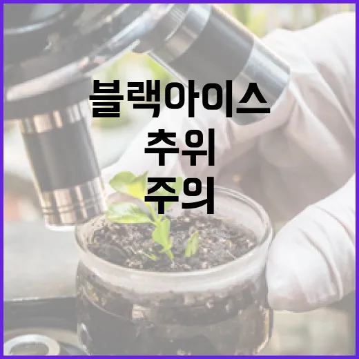 추위 10도 기온 블랙 아이스 주의 필요!