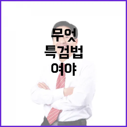 특검법 협상…여야 대치 속 진실은 무엇?