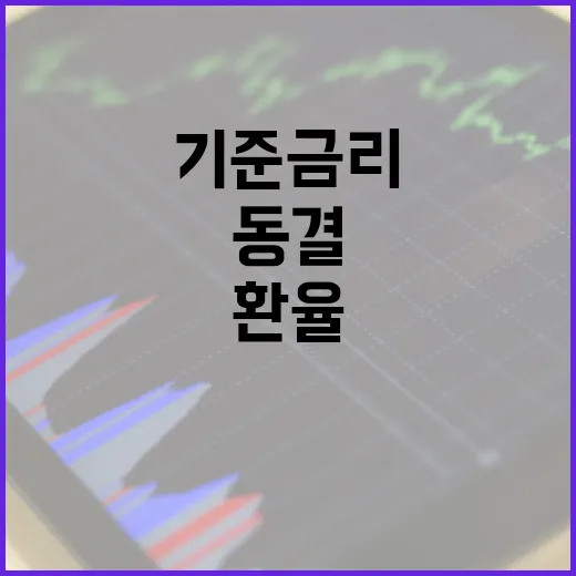 기준금리 동결 환율 우려의 원인 밝혀졌다!