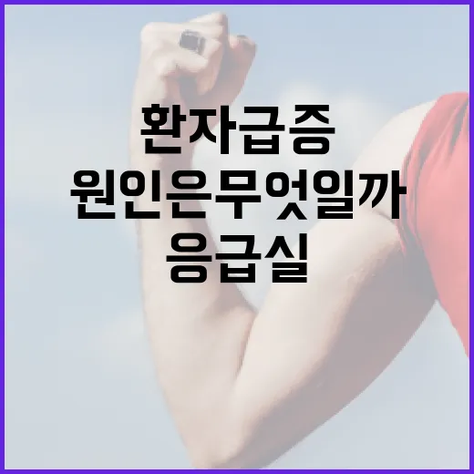 응급실 환자 급증 원인은 무엇일까?