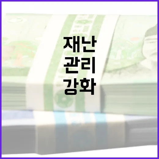 특별재난지역 체납자 출국 관리 이제 더 강화!