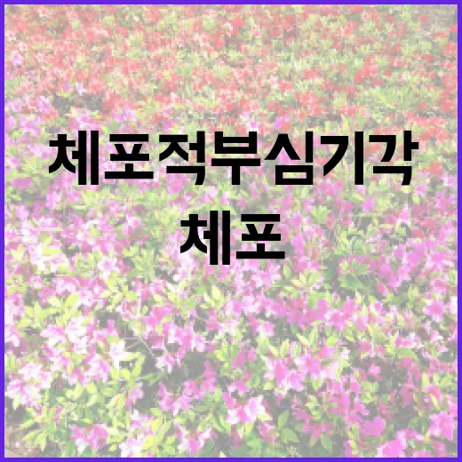 체포적부심 기각…윤의 미래는 어디로 향할까?