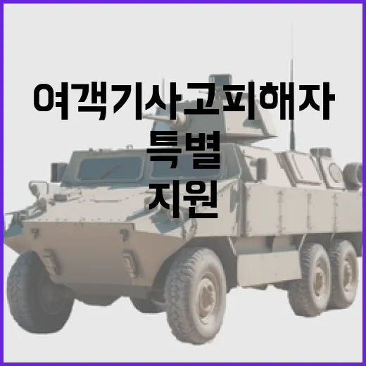 여객기 사고 피해자 지원 설 명절 특별 지원!